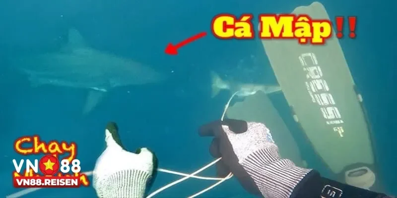 Bắn Cá Mập Kịch Tính Giúp Chinh Phục Kho Báu Đại Dương 10 ban ca map